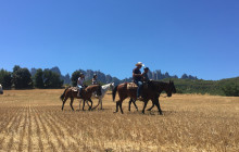 Tours by Uni9