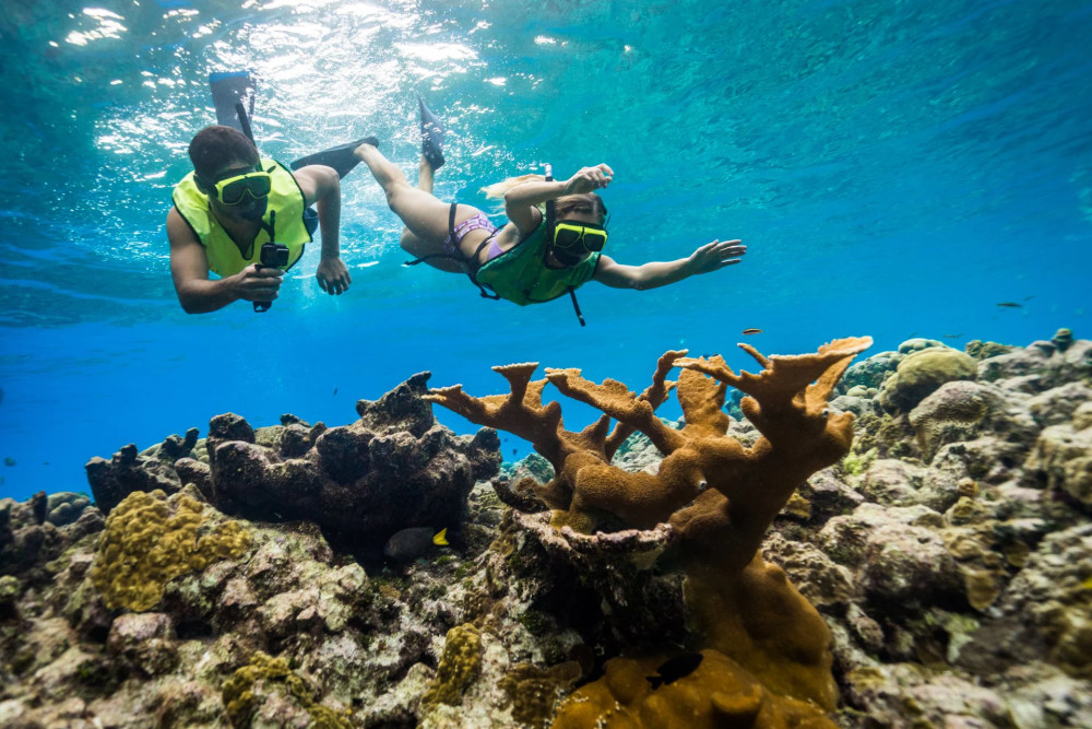 Nha Trang Speedboat Snorkeling Day Tour