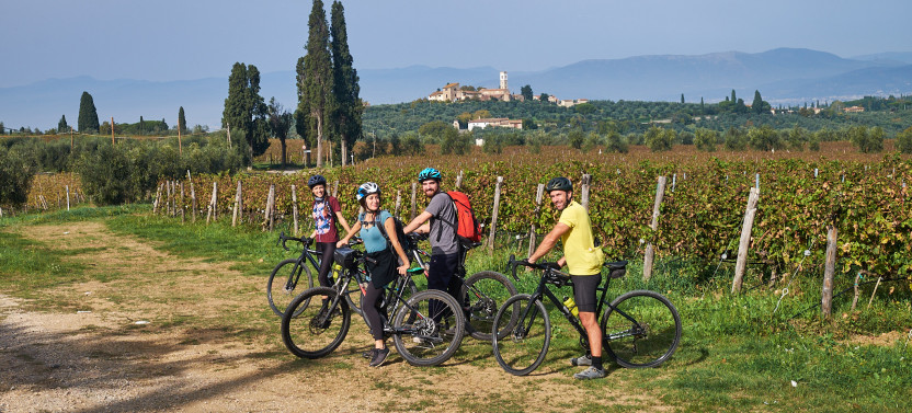 E-bike Chianti Classico Tour With Lunch & Wine Tasting at Winery