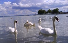 Lake Balaton & Cruise