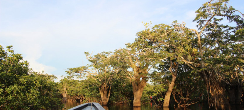 4-Day Amazon Journey in the Heart of Cuyabeno