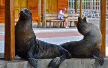 7 Days - Must-See Sights of The Galápagos