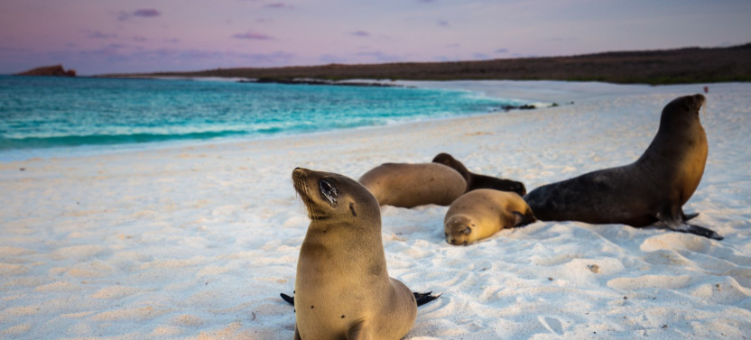 7 Days - The Most Visited Wonders Of The Galapagos Islands