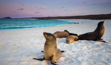 A picture of 7 Days  - Must-See Sights of The Galápagos