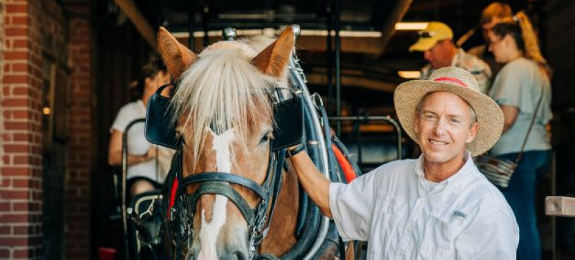 1-hour Historic Residential Carriage Tour