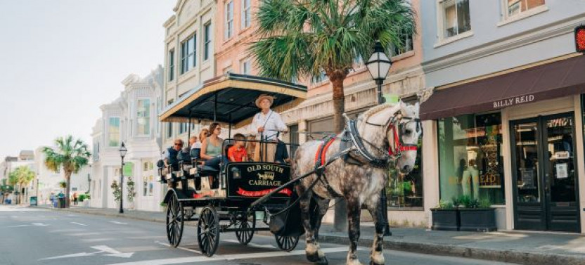 1-hour Historic Residential Carriage Tour