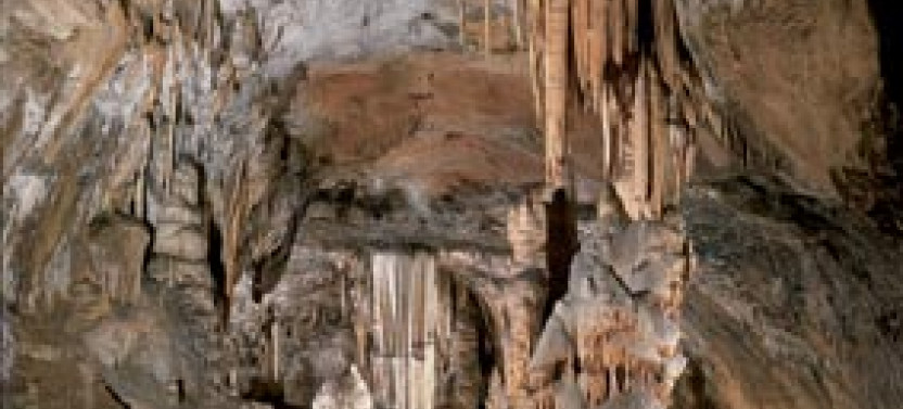 Group Tour To Postojna Cave from Koper