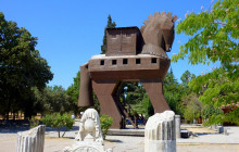 VANGUARD TRAVEL SERVICES11