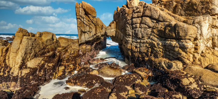 Scenic 17-Mile Drive Tour - Self Drive Audio Guide from Monterey