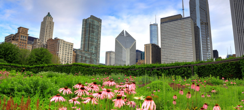 Chicago Millennium Park Self-Guided Walking Tour
