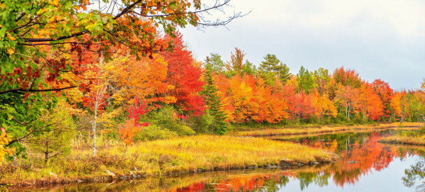 Historic Bar Harbor Self-Guided Walking Audio Tour Guide