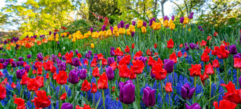 NYC Central Park Self-Guided Walking Tour