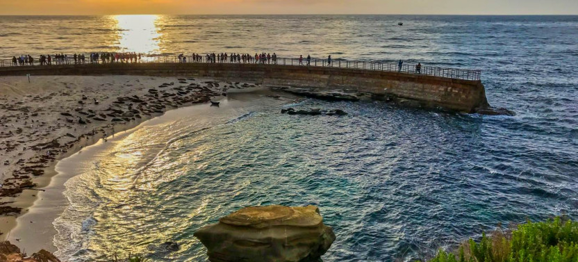 La Jolla Self-Guided Driving Audio Tour