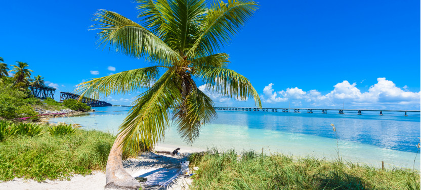 Florida Key West Self-Driving Tour (Overseas Highway)