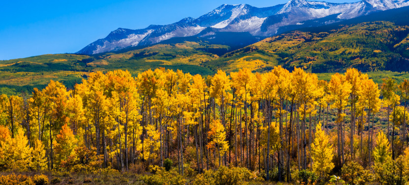Rocky Mountain National Park Self-Driving Audio Tour