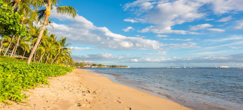 Maui Beach Parks Self-Guided Driving Tour