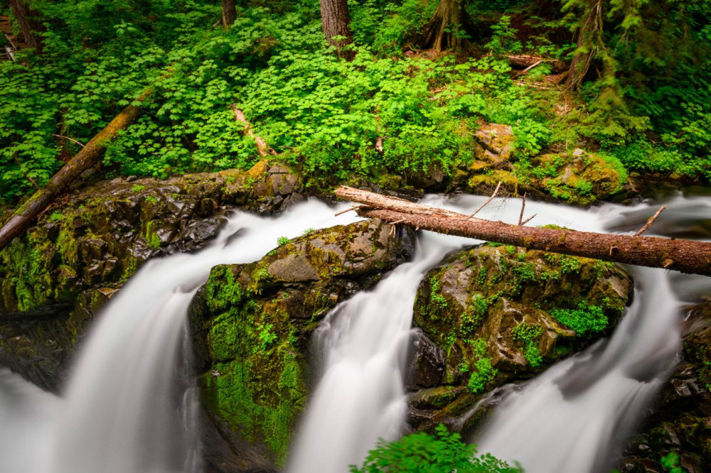 Olympic National Park Self-guided Driving Audio Tour - Seattle 