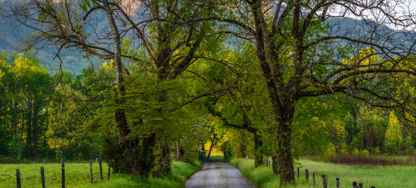 Cades Cove Sightseeing Self-Guided Driving Audio Tour