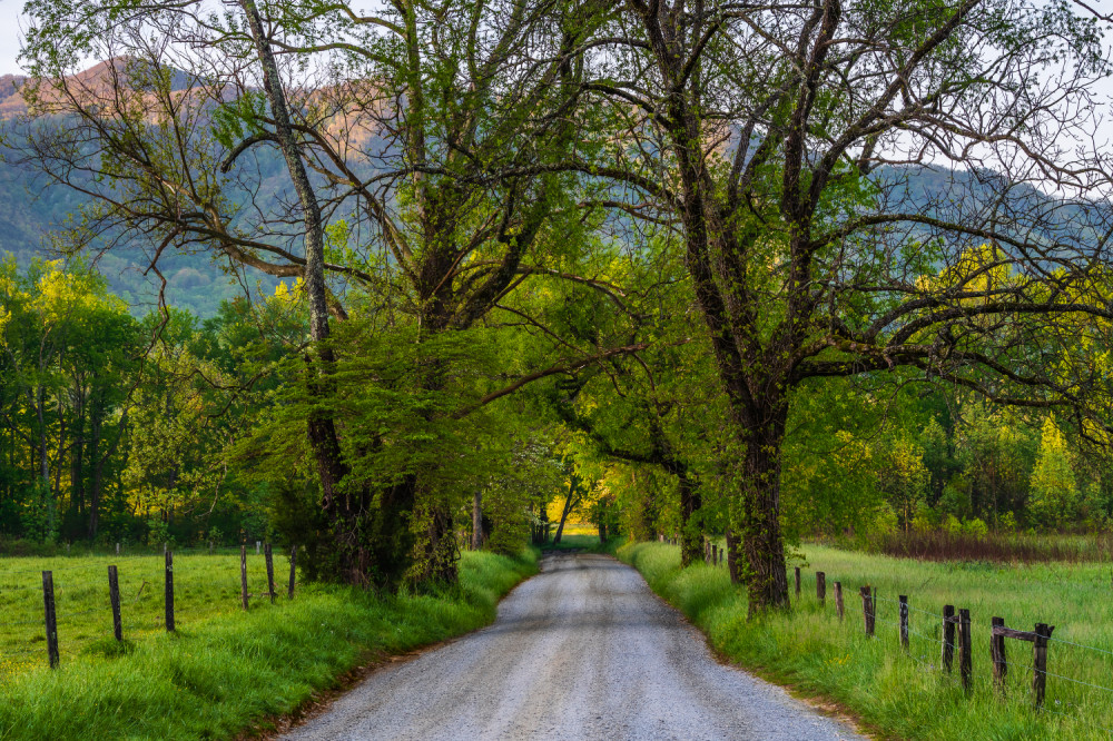 Cades Cove Sightseeing SelfGuided Driving Audio Tour Pigeon