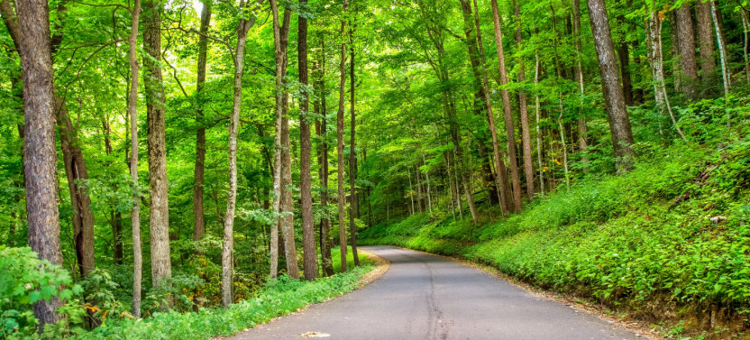 Great Smoky Mountains National Park Self Driving Tour