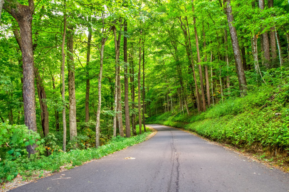 Great Smoky Mountains National Park Self Driving Tour