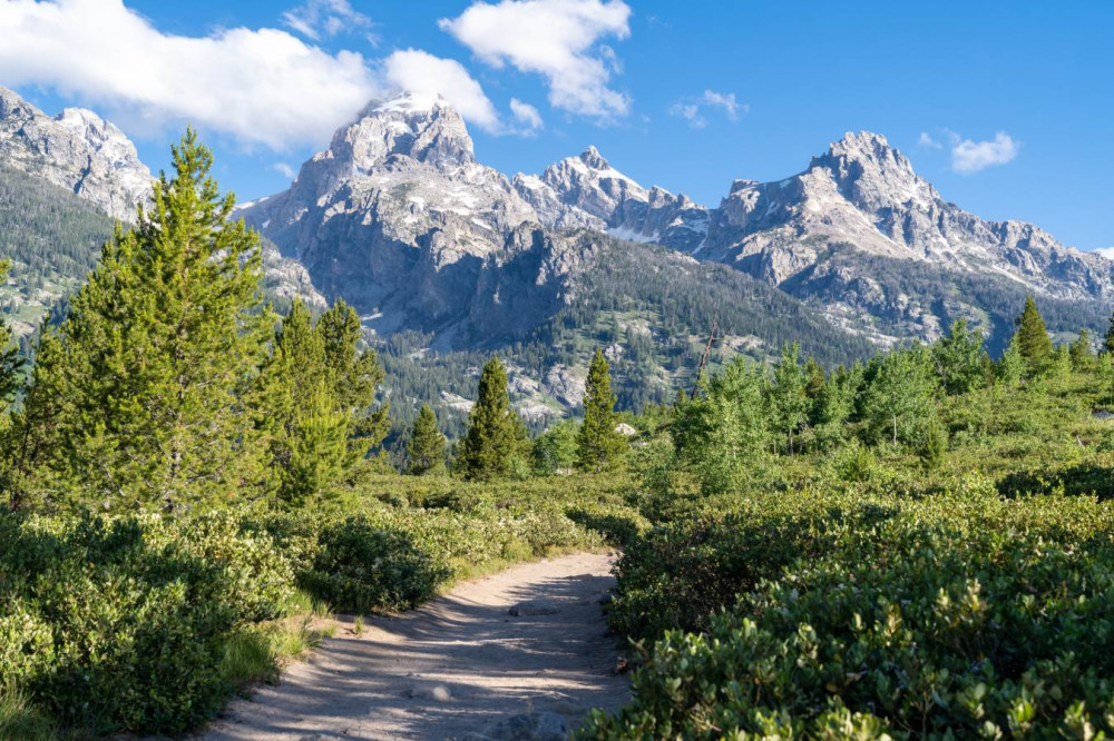 Grand Teton Self-Guided Driving Audio Tour - Jackson | Project Expedition