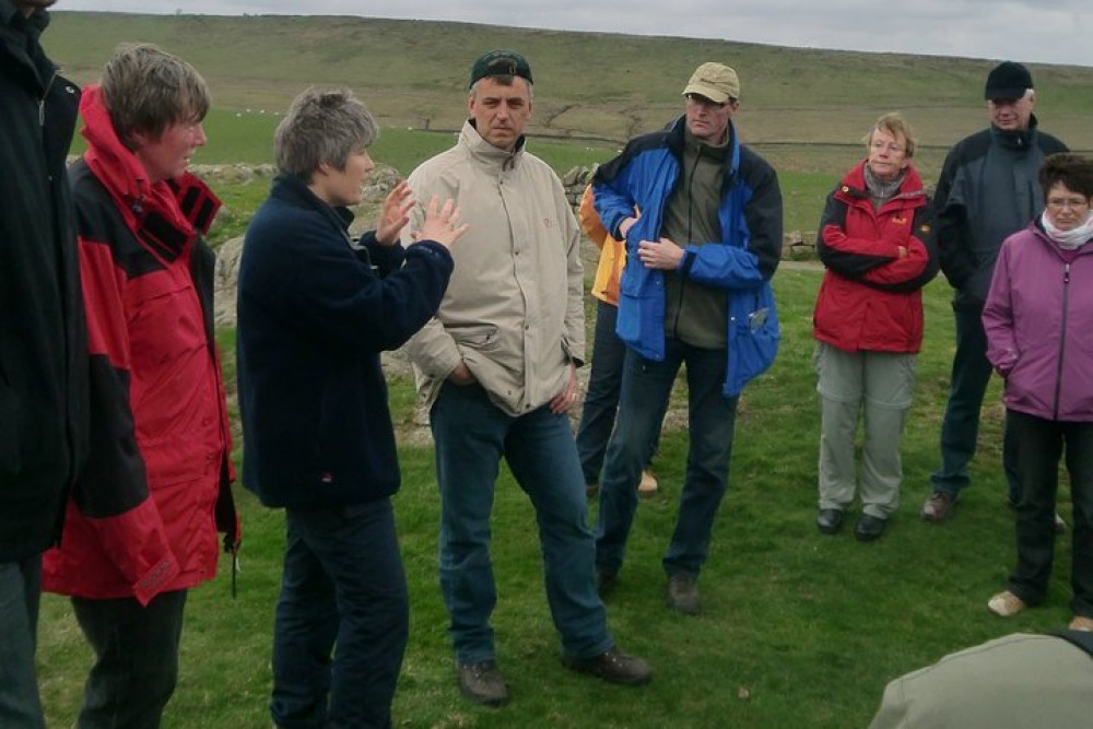 Experience North Ltd - Newcastle