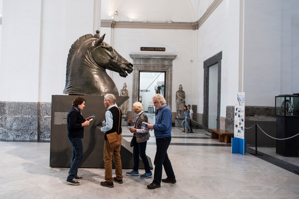 Private Pompeii & Archaeological Museum Naples Tour