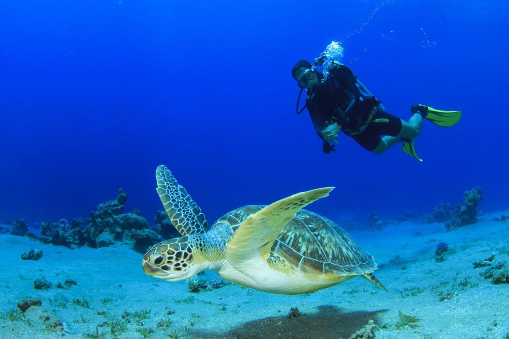 Discover Scuba Diving Tour & Beach Club