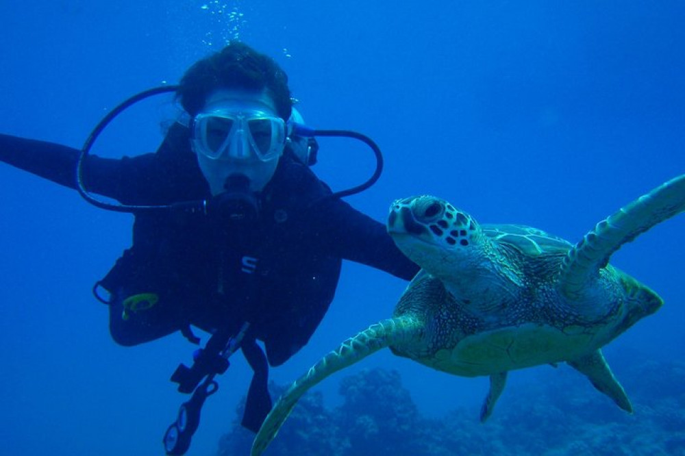 Scuba Certified Diving One Tank & Beach Club In Riviera Maya