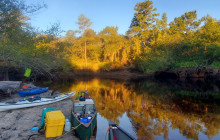 7 Day Florida's Greatest Rivers, Swamps & Springs