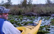 7 days in Okefenokee Swamp & The Suwannee Wilderness