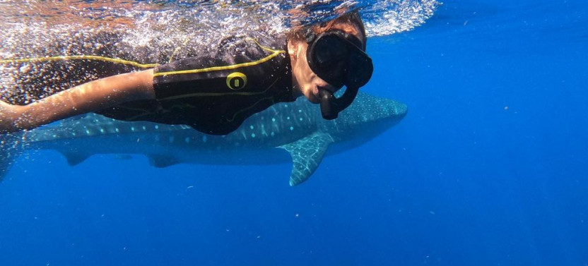 Whale Shark Encounter Full Day Tour from Riviera Maya