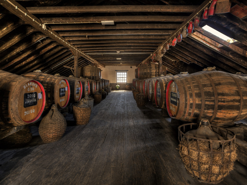madeira wine tour vineyards and cellars
