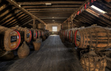 Wine Tours Madeira2