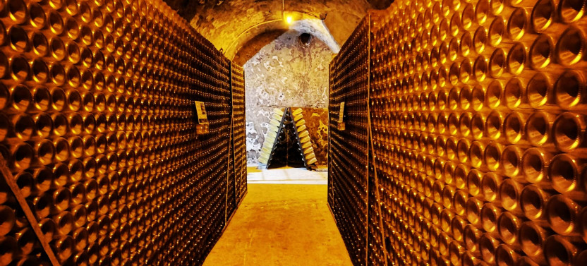 Champagne Day Tour With Tastings: three Family Wineries & Lunch
