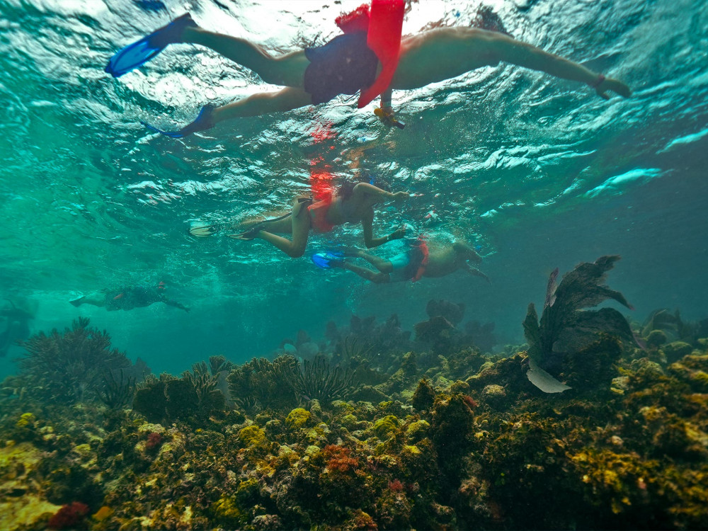 Isla Mujeres, Snorkeling & Catamaran Cruise Cancun Project Expedition