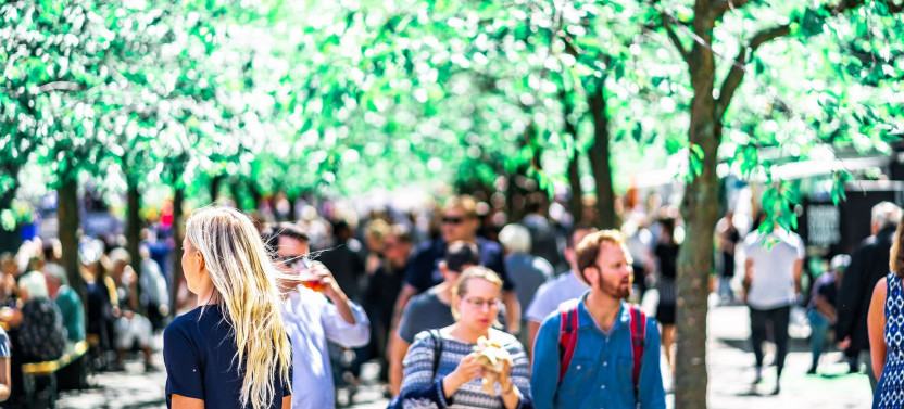 Stockholm City Private Walking Tour