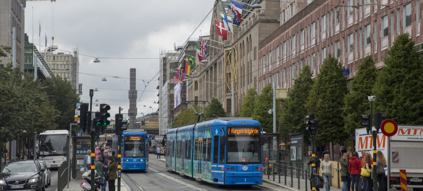 Stockholm City Private Walking Tour