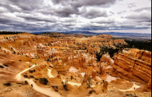 Bryce Canyon Scenic Tours and Shuttle Service1