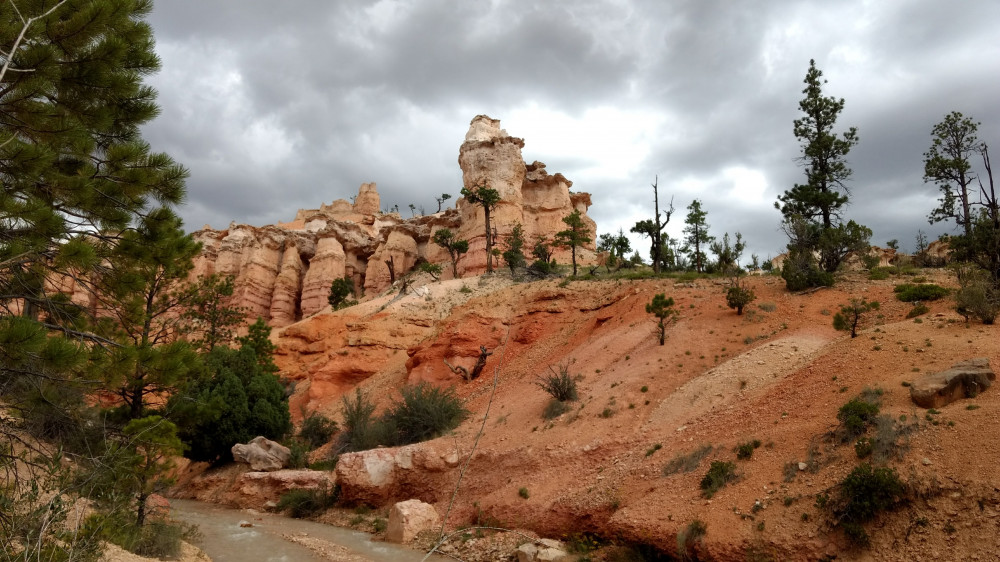 bryce canyon scenic tours and shuttle