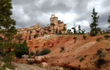 Bryce Canyon Scenic Tours and Shuttle Service1