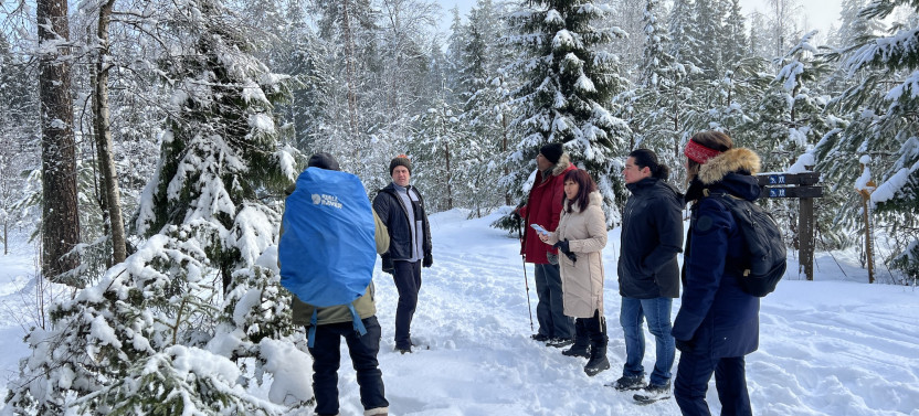 Winter Wonderland Hike