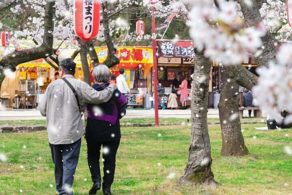Fukuoka: Private Custom Cherry Blossom Walking Tour with a Picnic