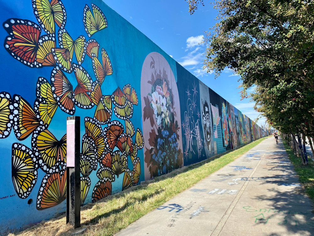 Small Group Guided Atlanta Art and Mural Tour