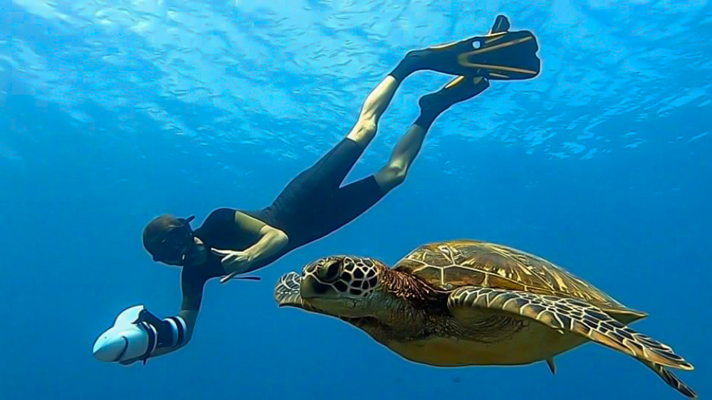 Sea Scooter Guided Ocean Snorkel Safari Tour: Reef + Lagoon -4h