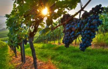 Kefalonia Excursions1
