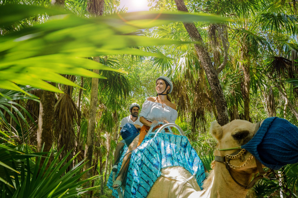 Combo: Camel & ATV with Transportation In Riviera Maya