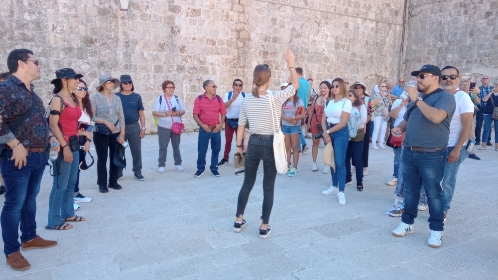 Dubrovnik Old Town Walking Tour