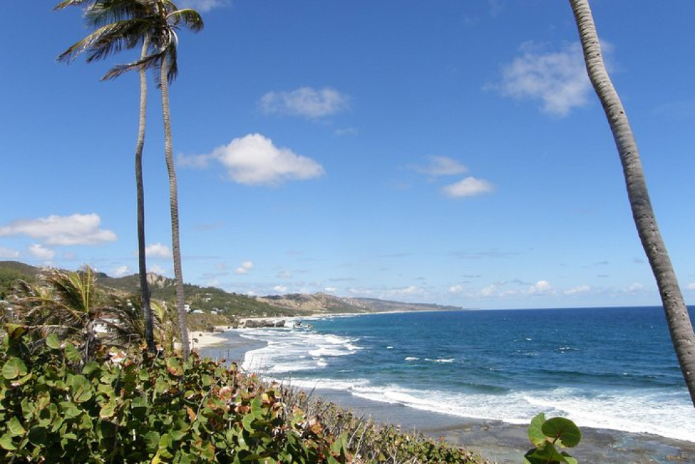 Barbados Highlights & Rum Tour with Lunch